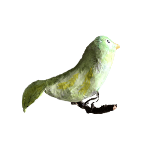 groene dikke vogel op tak